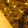 NOVEMBER – Honorable Mention - Rigging the Shell<br />Josh LeMay, Local Lodge 31, Omaha Public Power District, Omaha, NE<br />Journeyman Andy Frye riggs a turbine shell at OPPD’s North Omaha Station.<br />